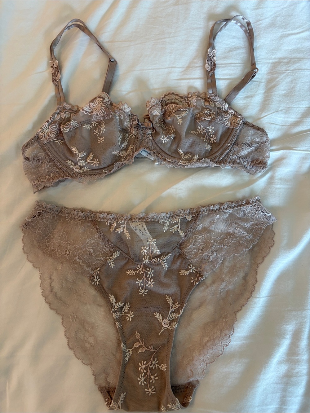 Lise Charmel Delicate Lace Embroidered Bra & Bikini Set - Taupe 32C and small